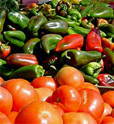 Productos naturales de Chile, productos biologicos de la Agricultura en Chile, productores de productos agricolas de exportacion. Empresas agricolas chilenas con exportacion al por mayor en Latinoamerica y Estados Unidos. Fabricantes de maquinas agricolas para la industria agricola chilena e internacional, tractores agricolas, cortadoras industriales, recogedores automaticos de productos agricolas, regadores automaticos y accessorios agricolas de exportacion desde Chile en todo Latinoamerica, Estados Unidos, Canada, Europa y Asia. Productos agricolas para la desinfectacion de terrenos, agentes y productos naturales para la prevencion y cuidado de las tierras agricolas para la exportacion a distribuidores al por mayor de los Estados Unidos y el mundo agricola internacional. Productos finales como papas, hortalizas, tomates, frutas, ganaderia, pesca... y mas para la exportacion en China, Estados Uniods, Italia, Alemania, Inglaterra, Irlanda, Japon, Taiwan, Arabia Saudita, Emiratos Arabes, Brazil, Argentina, Peru, Venezuela, Mexico, Uruguay, Bolivia... Chile Business Guide ofrece una lista de productores agricolas asociados y certificados para suportar con productos de exportacion el mercado internacional...