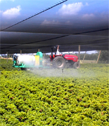 Agricultura en Chile, productores de productos agricolas de exportacion. Empresas agricolas chilenas con exportacion al por mayor en Latinoamerica y Estados Unidos. Fabricantes de maquinas agricolas para la industria agricola chilena e internacional, tractores agricolas, cortadoras industriales, recogedores automaticos de productos agricolas, regadores automaticos y accessorios agricolas de exportacion desde Chile en todo Latinoamerica, Estados Unidos, Canada, Europa y Asia. Productos agricolas para la desinfectacion de terrenos, agentes y productos naturales para la prevencion y cuidado de las tierras agricolas para la exportacion a distribuidores al por mayor de los Estados Unidos y el mundo agricola internacional. Productos finales como papas, hortalizas, tomates, frutas, ganaderia, pesca... y mas para la exportacion en China, Estados Uniods, Italia, Alemania, Inglaterra, Irlanda, Japon, Taiwan, Arabia Saudita, Emiratos Arabes, Brazil, Argentina, Peru, Venezuela, Mexico, Uruguay, Bolivia... Chile Business Guide ofrece una lista de productores agricolas asociados y certificados para suportar con productos de exportacion el mercado internacional...