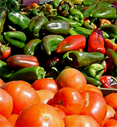 Chile agriculture food manufacturing suppliers, chilean agriculture wholesale chile vendors and beverage manufacturing companies to the USA agriculture distribution vendors and mall market industry.. Share your industrial agriculture products manufacturing with the worldwide distribution market... Chilean agriculture manufacturing suppliers industry to the wholesale industrial agriculture distribution in China, United States, Italy, Germany, England, Ireland, Japan, Taiwan, Saudi Arabia, UAE, Brazil, Argentina, Peru, Venezuela, Mexico, Uruguay, Bolivia... Chile Business Guide your agriculture manufacturing suppliers source...