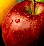 Exportacion de frutas Chilenas, productores de frutas frescas de Chile, empresas de produccion y exportacion de frutas Chilenas en Estados Unidos, productores de manzana, uva de mesa, chirimoyas, paltas, avocados, kiwis, duraznos, fresas,... Chile Business Guide presenta empresas Chilenas de produccion de frutas de alta calidad, productos para la exportacion en los Estados Unidos, frutas para Europa, Asia y todo Latinoamerica. Chile es uno de los mas importantes productores y exportadores de frutas frescas y conservadas de alta calidad en el mundo. Exportacion de manzanas chilenas, kiwis, papaya, produccion de uva de mesa, maracuya made in Chile