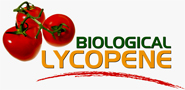 Lycopene manufacturing suppliers... Italian biological and organic Lycopene designed and made in Italy with the most powerful red tomatoes... Biological lycopene may prevent prostate cancer, heart disease and other forms of cancer... Biological Lycopene manufacturing solutions to the worldwide health care distribution market..