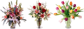 ORCHIDEAS Arreglos para San Valentin y Romance para damas exigentes... Ofrecemos una completa coleccion de arreglos Online para Aniversario, cumpleanos, Romance, buena salud, recien nacido, Funeral, Simpatia, Thanksgiving, navidad, dia de las madres, dia de las padres, Secretarias, Boss, pascua, primavera y fantasticos Miami Tropicales y flores Exoticas...