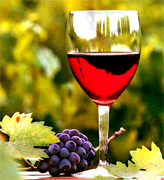 Productores de vino Chileno de exportacion, vinos tintos Chilenos o vinos rojos hechos en Chile de exportacion al por mayor en Estados Unidos y Latinoamerica, vinos al por mayor en Chile, distribucion de vinos rojos y vinos blancos en mercado Italianos, Argentinos, Chilenos, Peruanos en Miami y todos los Estados Unidos. Productores y distribuidores de vinos al por mayor, vino rojo y blanco, fabrica bebidas de Chile para Miami y los Estados Unidos de America, produccion de uva, distribucion de vino y bebidas de exportacion al por mayor en Chile y Latinoamerica...